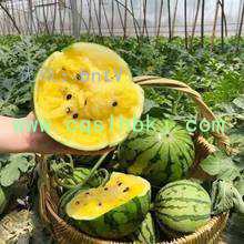 Ļ