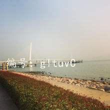 ЧӦ