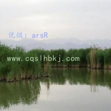 벻