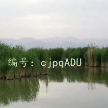 ˽