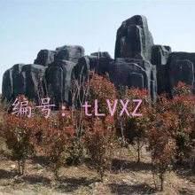 ջ