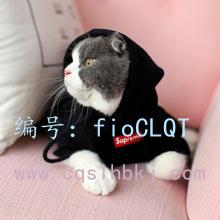 Ȼ