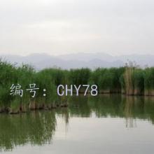 벻